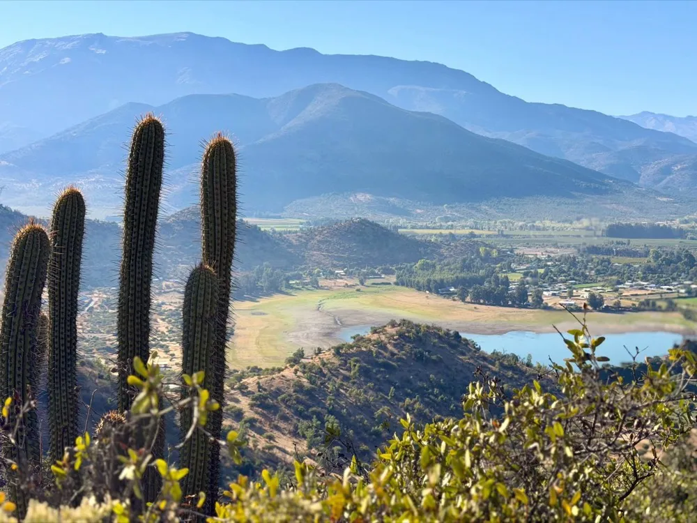 Vista a la cordillera desde el proyecto