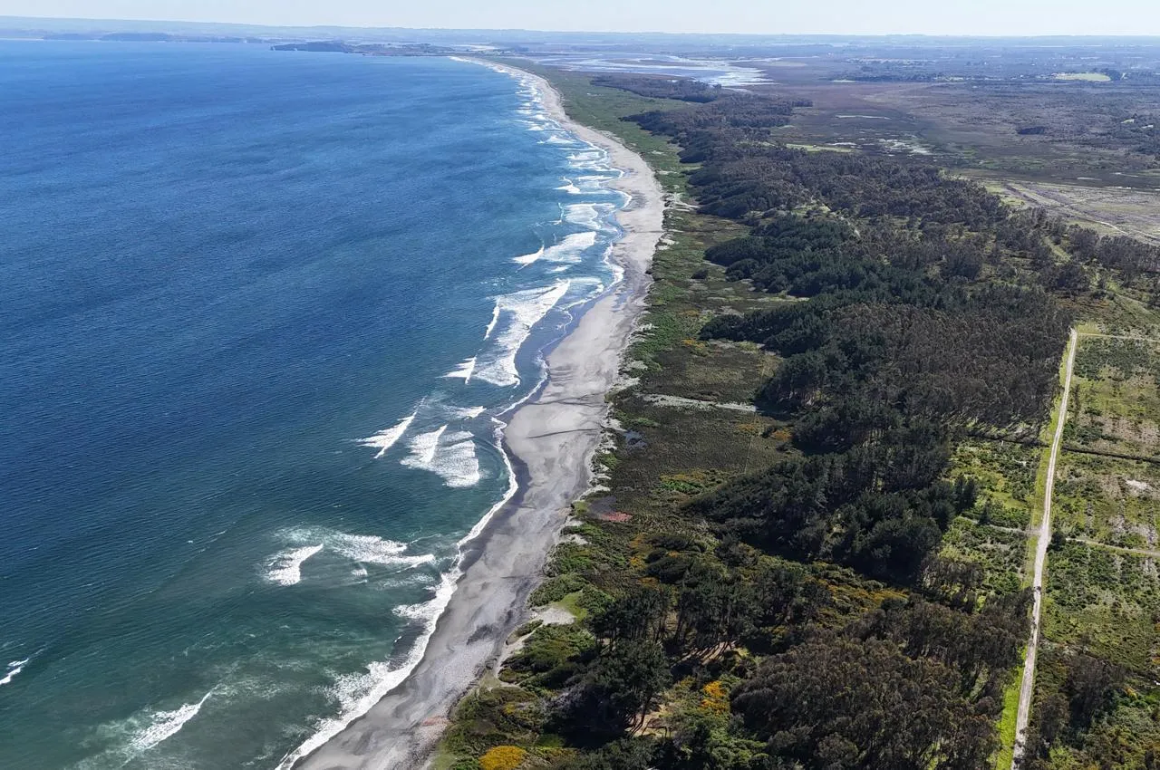 Costa con playa y bosque, vista aérea