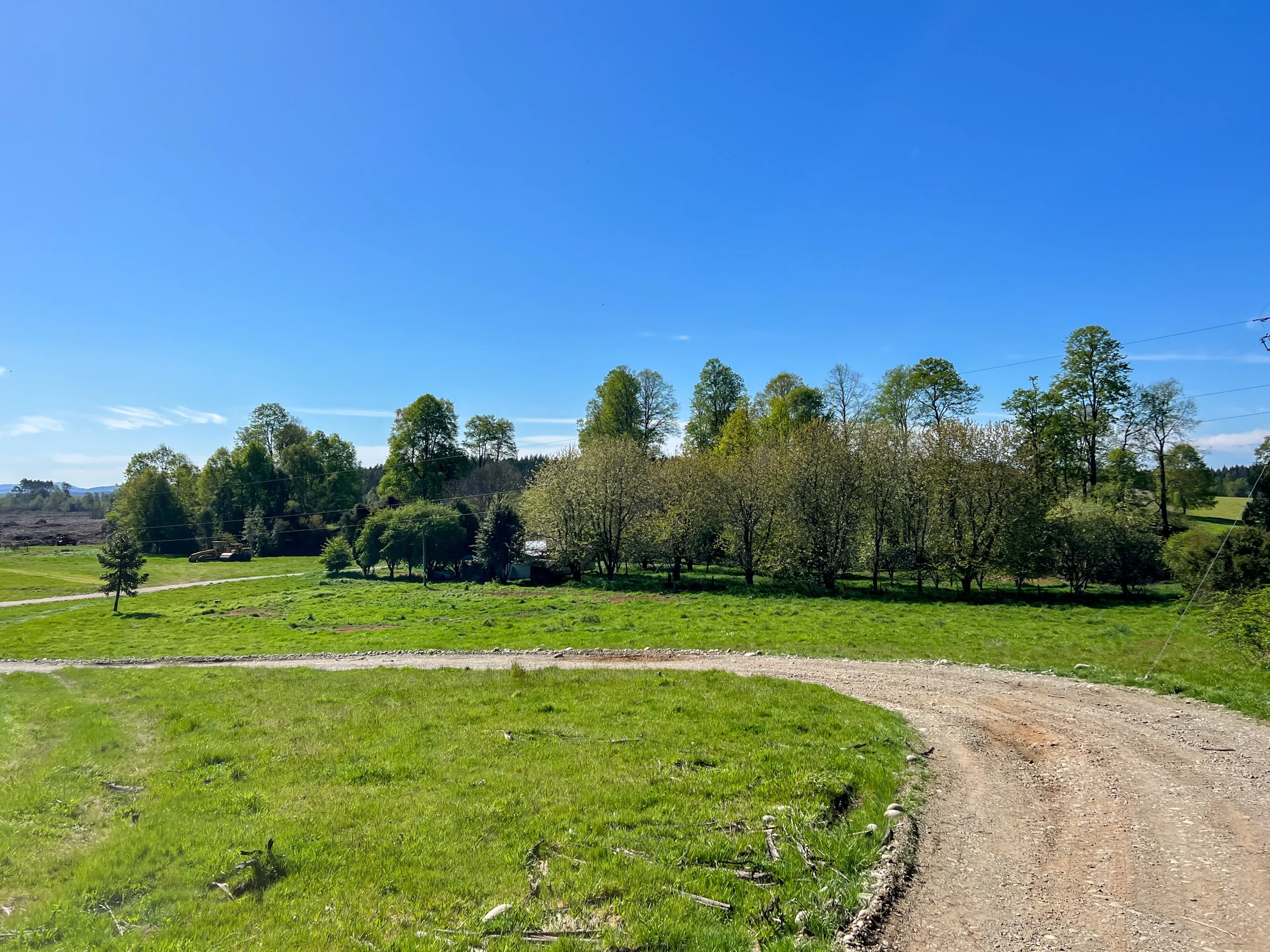 Pradera abierta con camino curvo