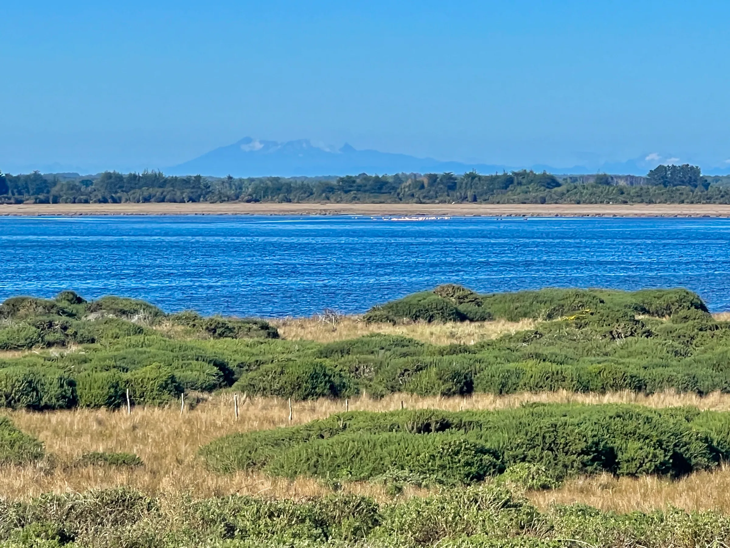 Humedal y mar con volcán al fondo