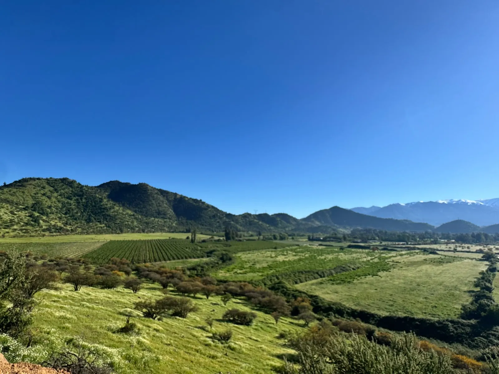 El valle verde con la cordillera nevada al fondo